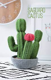 Fences and hedges of growing saguaros with big thorns are prevalent in many countries of central and there are much more other ways of how different types of cactus plants can be useful for the civilized man. Ravelry Saguaro Cactus Pattern By Amy Gaines
