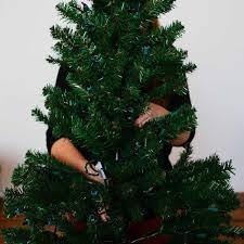 4 Ways To Store Christmas Trees Christmas Tree Cool Christmas Trees Christmas Tree Storage