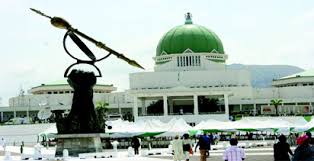 Image result for NASS