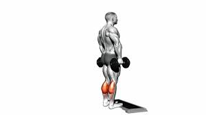 With your toes pointing forwards, raise your heels off the floor and contract your calves. Single Leg Standing Calf Raise Dumbbell How To Instructions Proper Exercise Form And Tips Hevy Exercise Library