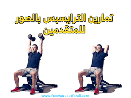 Pin On تمارين الترايسبس بالصور
