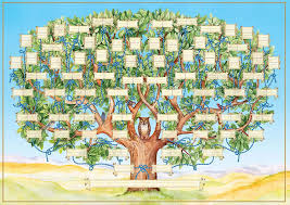 Find site reviews, technology tips, diy family tree ideas, information on cultural and local heritage, and an active social community. Amazon Com Wall Poster Family Tree The Genealogical Tree For Self Completion Dense Specialized Paper Trace 7 A Direct Kinship Link Posters Prints