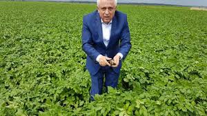 Termenele impuse de apia pentru acordarea subventiei pe cap de animal! Daea Banii Pe Care Trebuiau SÄƒ I PrimeascÄƒ Fermierii Ca RestanÅ£e Din 2016 Nu Au LegÄƒturÄƒ Cu SubvenÅ£iile Actuale