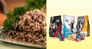 Nulo freestyle chicken & cod is in general a good formula for cats. Nulo Cat Food Reviews 2021