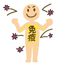 ãåç« ç»åãã®ç»åæ¤ç´¢çµæ