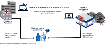 U S Gao Health Care Telehealth And Remote Patient