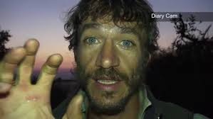 Just let the wilderness in...