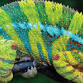 The Reptile Lady event image