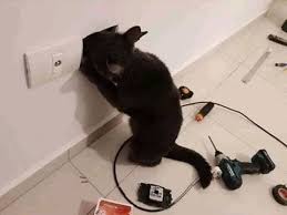 Maybe you would like to learn more about one of these? Kucing Lucu Kucing Lucu Added A New Photo