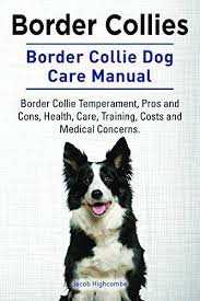 Hottest Free Border Collies Quotes Style Border Collie Temperament Border Collie Dog Collie Dog