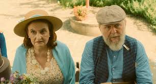 Image result for animovan  p%u0159 n  k narozenin m