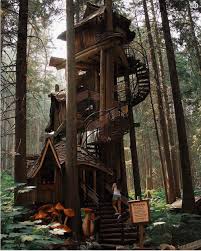 Book a guided boat, kayak, or even a seaplane tour to catch. 5 Tree Houses For A Weekend Getaway Near Vancouver 102 7 The Peak Alternative Vancouver