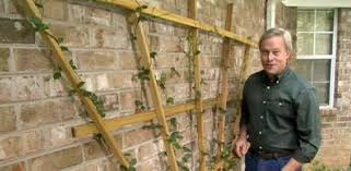 Freestanding trellises don't have the luxury of a wall or fence to lean against. How To Make A Fan Trellis For Your Yard Today S Homeowner