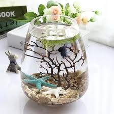 Aquarium ini memiliki bentuk yang unik layaknya block lego sehingga jika aquarium ini ditumpuk satu sama lainnya akan membentuk seperti bangunan, dan akan terlihat. Harga Aquarium Unik Mini Terbaru Mei 2021 Biggo Indonesia