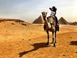 Camel Rides In Israel