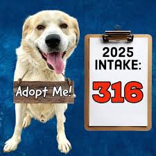 Coffee County TN Animal...