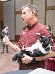 Find out the schedule, pricing, special packages, vaccines available, and other services like microchipping. Https Vetmed Tamu Edu Dvm Job Fair Wp Content Uploads Sites 88 2019 11 2018dvmjobfairbookemail Pdf