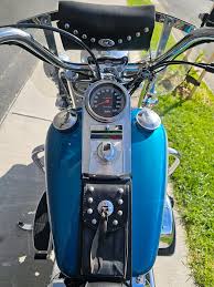 Image result for Aqua Pearl 1994 FLSTF