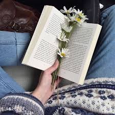 About us privacy policy remove post. Daisy Papatya Book Aesthetic Book Photography Cute Wallpaper For Phone