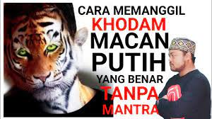 Power dari khodam ini terpancar jelas keluar dari mustika (bagi yang bisa melihat). Cara Benar Memanggil Khodam Macan Putih Tanpa Mantra Youtube