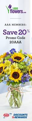 Check spelling or type a new query. Same Day Delivery Get Well Gifts And Flowers 1800flowers
