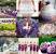Dollar Tree Birthday Party Ideas