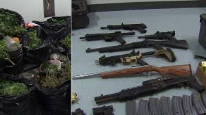 Zira el chapo lakaplı uyuşturucu baronu joaquin guzman'ın hapishaneden kaçış maceraları uzun süre konuşulmuştu. 500k In Marijuana 27 Weapons Seized In Lapd Drug Bust Abc7 Los Angeles