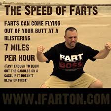 Pin On Fart