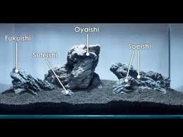 Merupakan tumbuhan kecil yang memiliki batang semu dan kerap dijumpai di alam liar seperti hutan, sungai, sawah atau danau. Jenis Batu Batuan Aquascape Untuk Pemula Youtube