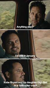 Ant Man Meme Gives A Recap Of All The Horrors Of 2020 So Far Ant Man Funny Photos Memes