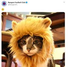 Maybe you would like to learn more about one of these? Rangers Tan Mac Sonu Tepki Ceken Paylasim