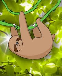 New drawing tutorials published every week! How To Draw A Cute Sloth In 8 Easy Steps Draw Central
