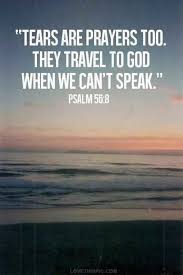 Pin On Holy Bible Verses