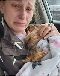 I lost my baby this afternoon only the heartless ones will not type Rip