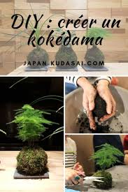 Ateliers Ikebana Et Kokedama A Dijon Jardinage Jardin Loisir Ikebana
