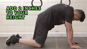 These exercises increase the endurance of your arms. Add 2 Inches To Your Height Youtube