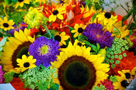 Consider stopping by the market today through monday to pick up locally grown flowers. Package Of Flowers Ready For Purchase Stock Photo 4b0b85b1 152d 461c 88de 06e511e41e1b