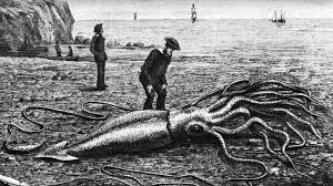 Thought to be the largest mollusk until scientists discovered the colossal squid which could be twice the size. Giant Squid S Full Genome Revealed Providing Clues About Mysterious Creature University Of Chicago News