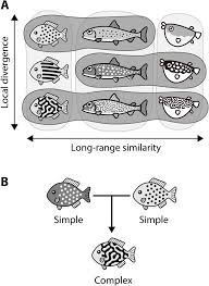 Alibaba.com offers 1,577 change jiang products. Pattern Blending Enriches The Diversity Of Animal Colorations Science Advances