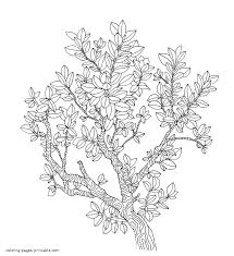 Different artists have contributed to this special page. Trees And Flowers Coloring Pages For Adults Coloring Pages Printable Com