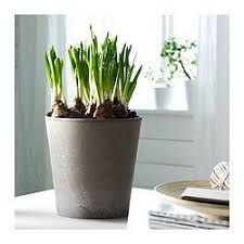 Mobilier Et Decoration Interieur Et Exterieur Planter Blomsterpotte