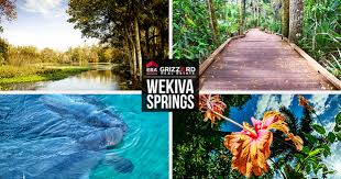 Devil's den resort & springs Best Place To Live Wekiva Springs Top Homes Hotspots For Locals