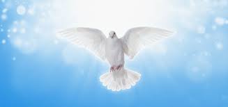 Μνήμη τοῦ ἁγίου καὶ πανευφήμου ἀποστολου φιλίππου. Agioy Pneymatos 8 Ioynioy 2020 H8h Kai E8ima Apo Olh Thn Ellada Ekklhsia Online