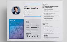 Basically the only good thing about graphic and visual cv templates? 65 Free Resume Templates For Microsoft Word Best Of 2021