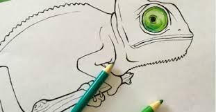 Terms of use these coloring pages however, you can have a coloring party and allow other people to share the page to color. Chameleon Coloring Pages For Kids