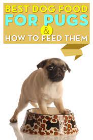 Frequency 1 post / quarter blog devotedtodog.com Best Dog Food For Pugs In 2020 How To Feed And What To Feed Pugs
