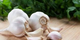 Bawang putih berkhasiat untuk meningkatkan libido => meskipun bau dari bawang putih sangat menyengat, jika lapisan atas yang dikupas itu dapat menjadi tonik afrodisiak yang baik. 6 Manfaat Bawang Putih Untuk Jerawat Ketahui Efek Sampingnya Merdeka Com