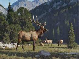 #tucker smith #art #buffalo #range #mountains #landscape #oil on linen #painting #western #west #wild west #western art. Tucker Smith Current Art Wildlife Artists Hunting Art Wildlife Artwork
