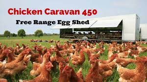 Free range chicken eggs near me. Chicken Caravan 450 Free Range Egg Shed Youtube