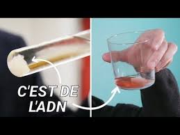 Pin Auf Humour Et Verite